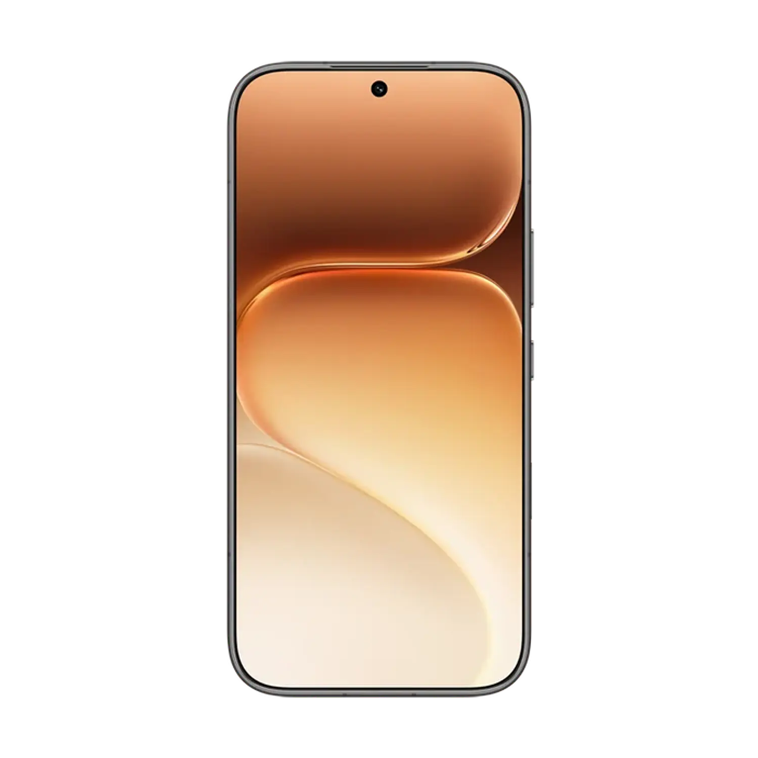 HONOR 600 5G, Smartphone 8GB RAM 512GB, AMOLED 6,57