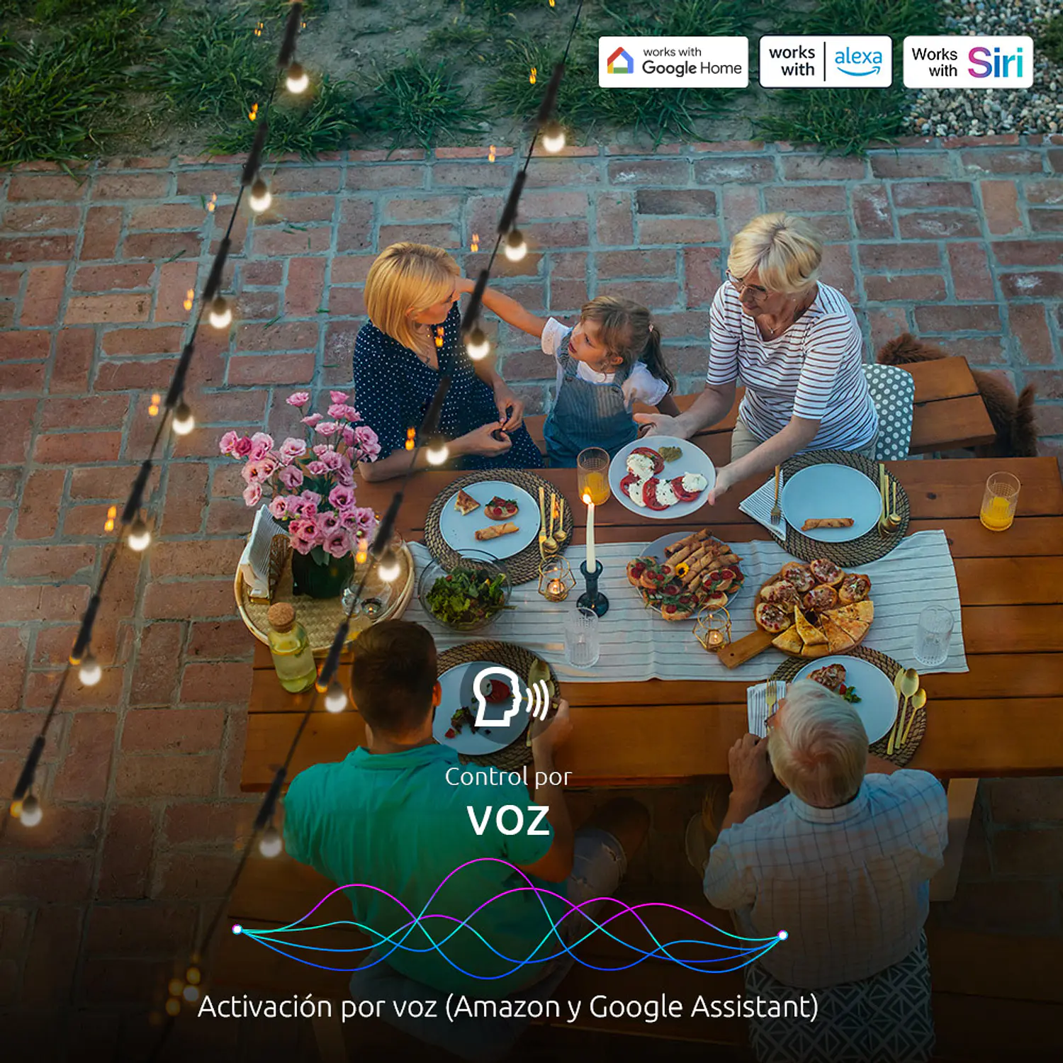 Nexxt Home Guirnalda LED Inteligente Wi-Fi 14,6 m, 24 Luces RGB y Blanco, IP65, Alexa y Google Assistant 6