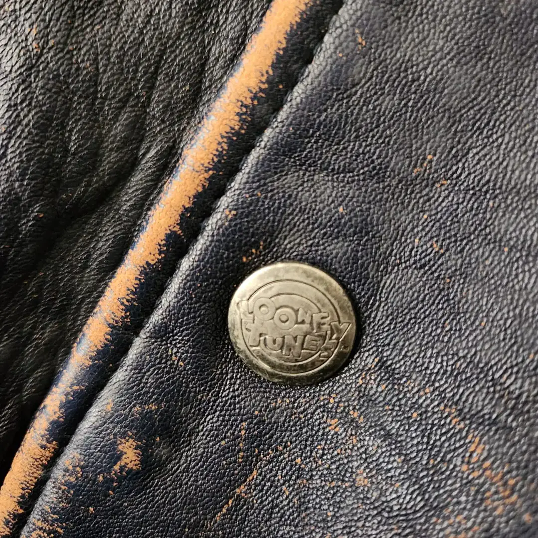 Vintage Looney Tunes Taz Aviator Leather Jacket L 3