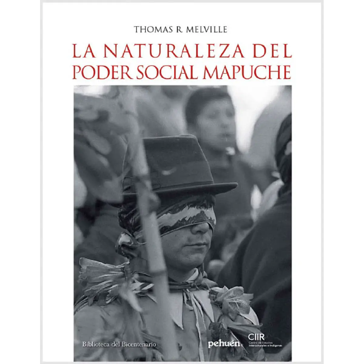 La Naturaleza Del Poder Social Mapuche