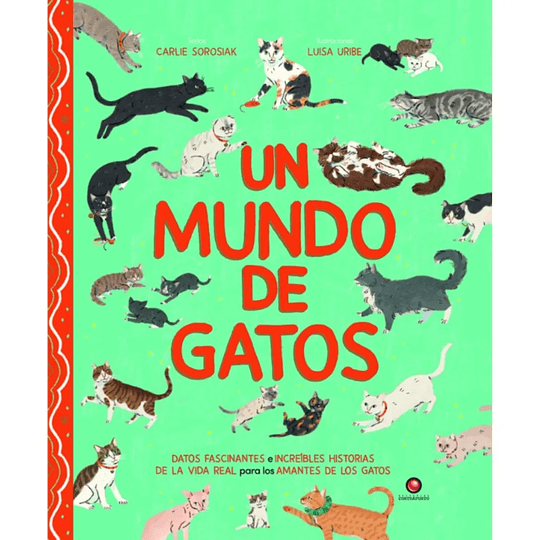 Un Mundo De Gatos
