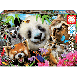 Puzzle 300 Ojos Negros