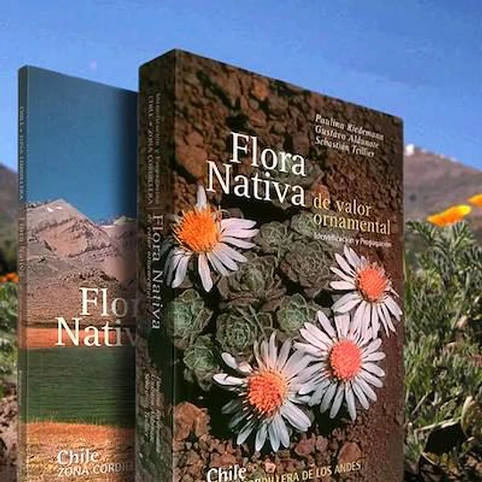 Flora Nativa De Valor Ornamental Chile Zona Cordillera