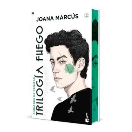 Ciudades De Cenizas. Edicion Especial Con Cantos Decorados