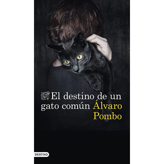 El Destino De Un Gato Comun