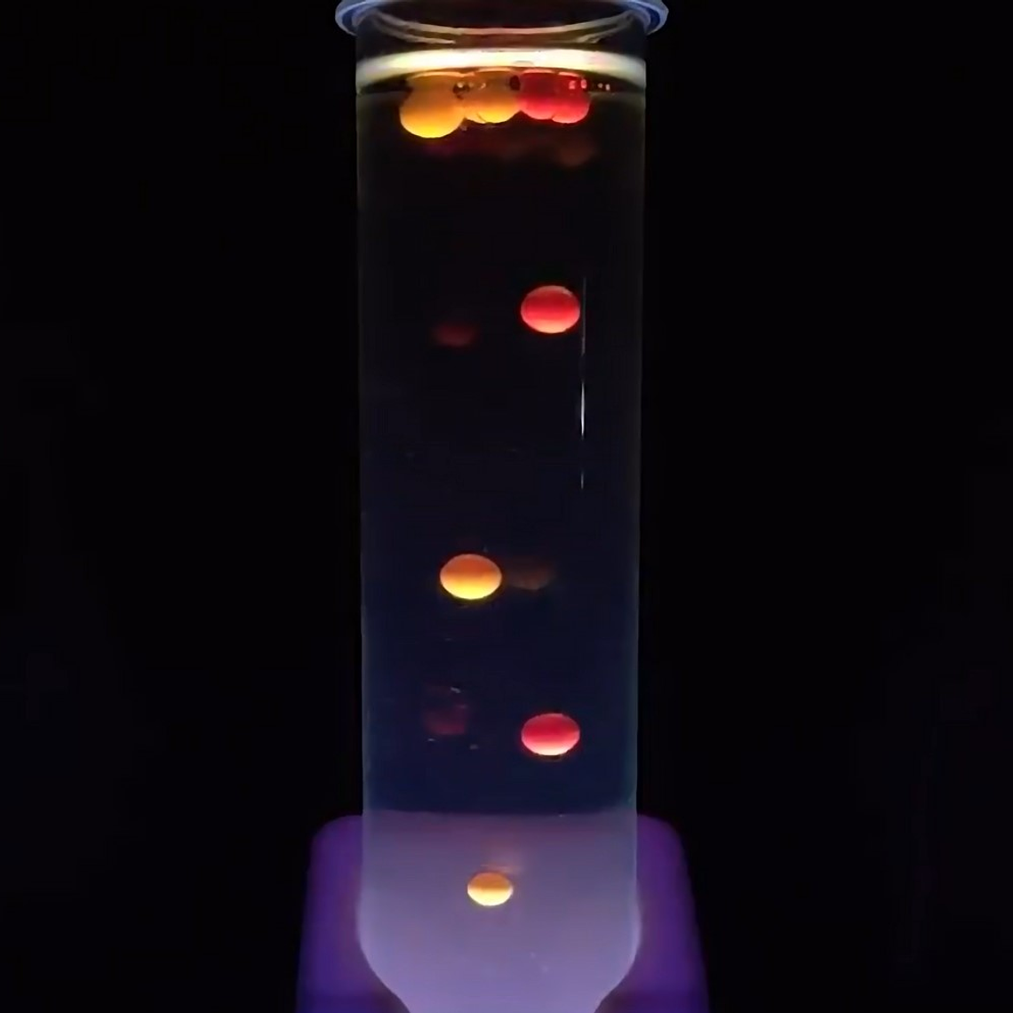 Juego Científico STEM - Vamos a Brillar en la Oscuridad 5