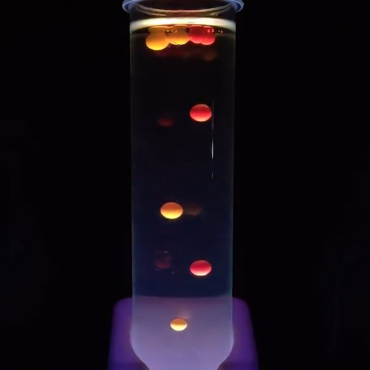 Juego Científico STEM - Vamos a Brillar en la Oscuridad 5