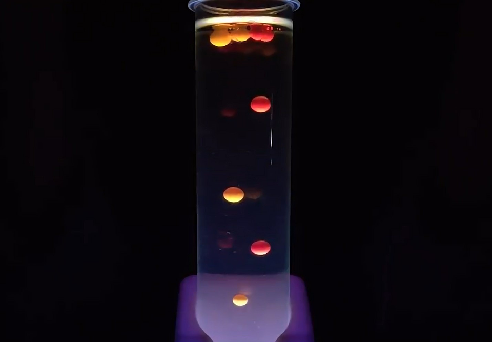 Juego Científico STEM - Vamos a Brillar en la Oscuridad 5