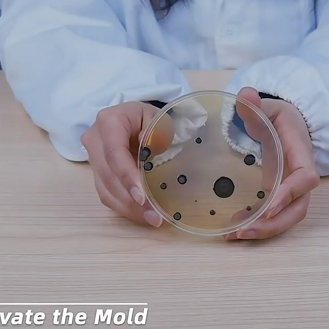 Juego Científico STEM - Esto es Asqueroso! 4