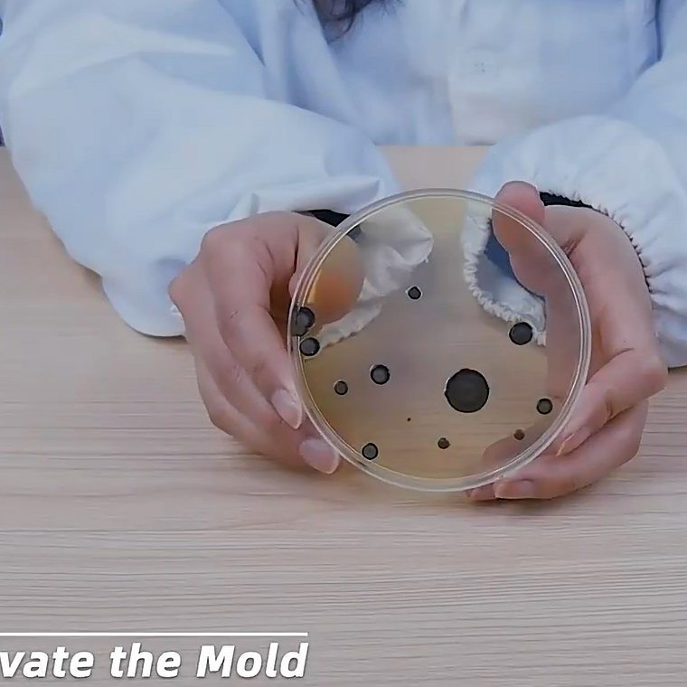 Juego Científico STEM - Esto es Asqueroso! 4