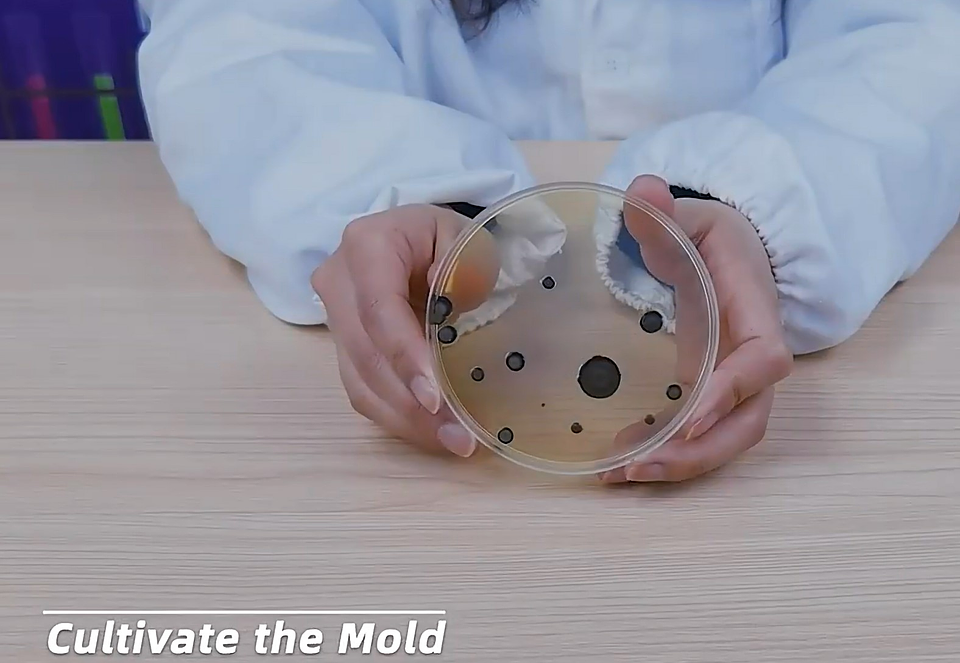 Juego Científico STEM - Esto es Asqueroso! 4