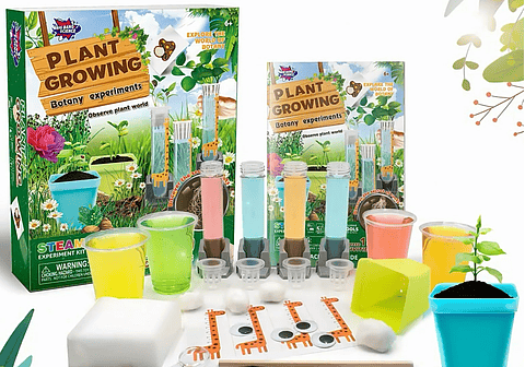 Juego Científico STEM - Crecimiento de las Plantas