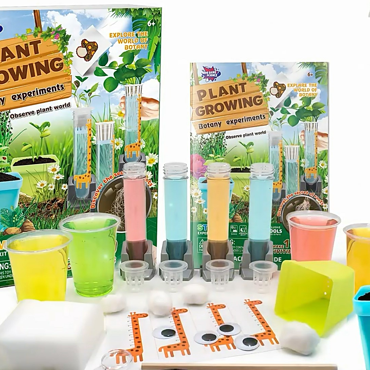 Juego Científico STEM - Crecimiento de las Plantas 1