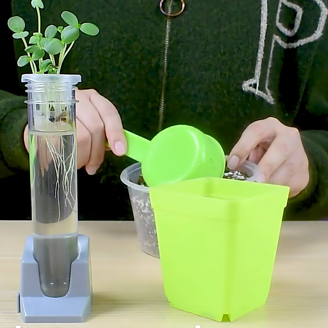 Juego Científico STEM - Crecimiento de las Plantas 5