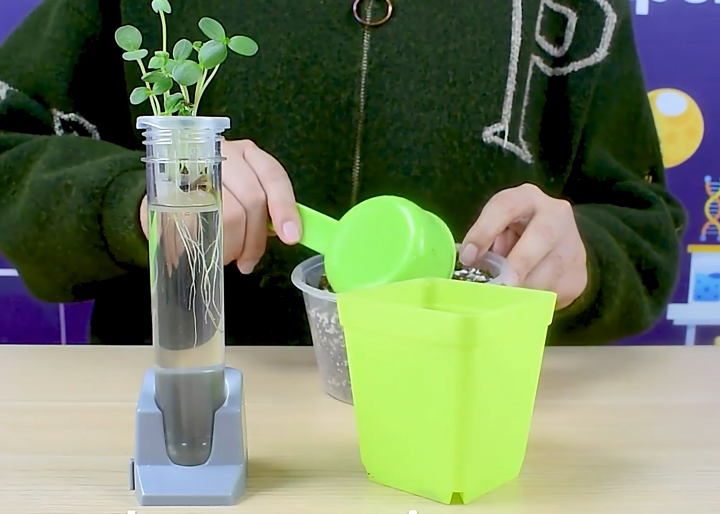 Juego Científico STEM - Crecimiento de las Plantas 5