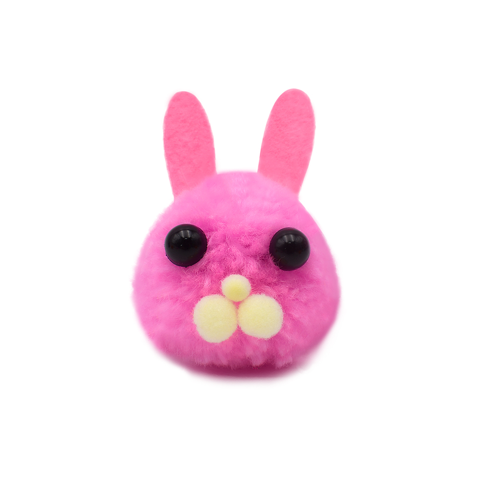 Juego científico STEAM - Mini Mascota Pom Pom  5