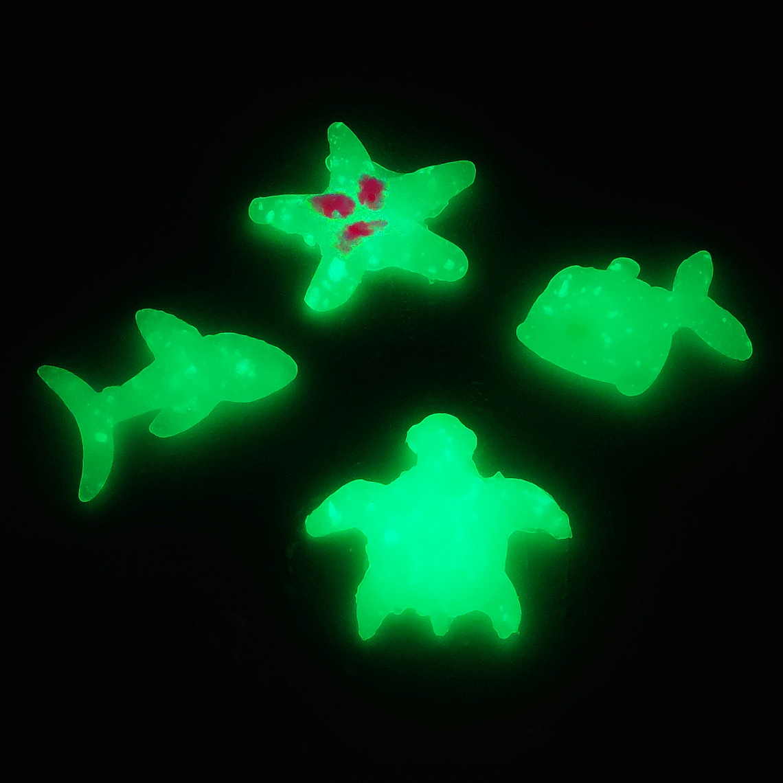 Juego de Ciencias STEAM - Agua Mágica 5