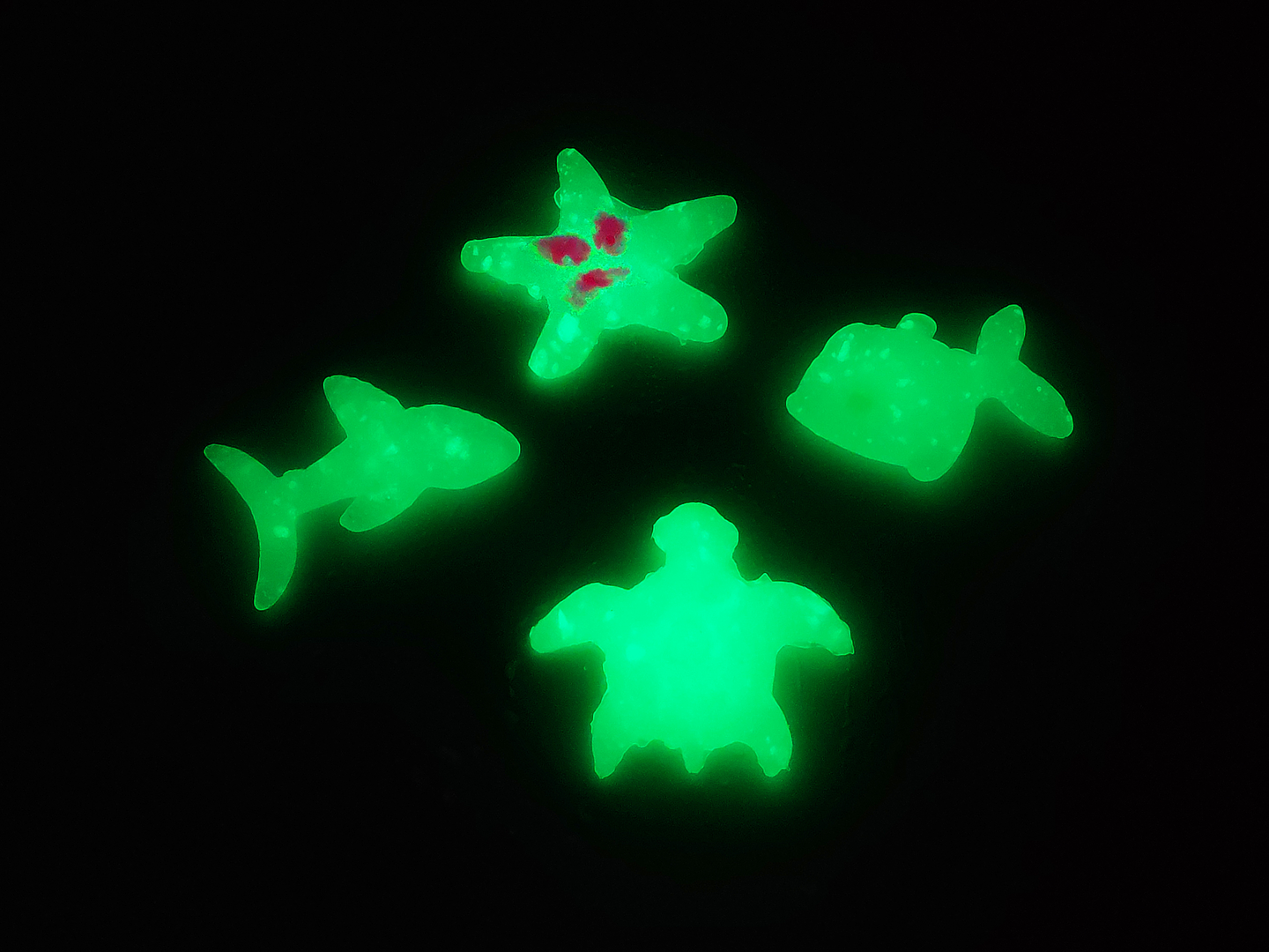 Juego de Ciencias STEAM - Agua Mágica 5