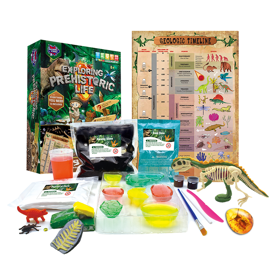 Juego de Ciencias STEAM - Explorando la Vida Prehistórica 2