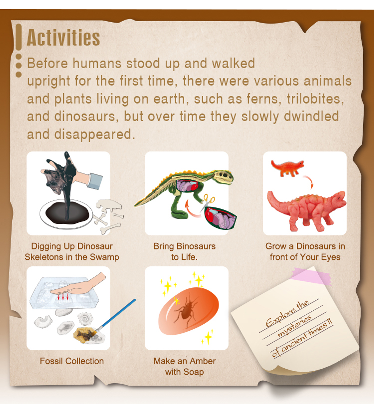 Juego de Ciencias STEAM - Explorando la Vida Prehistórica 3