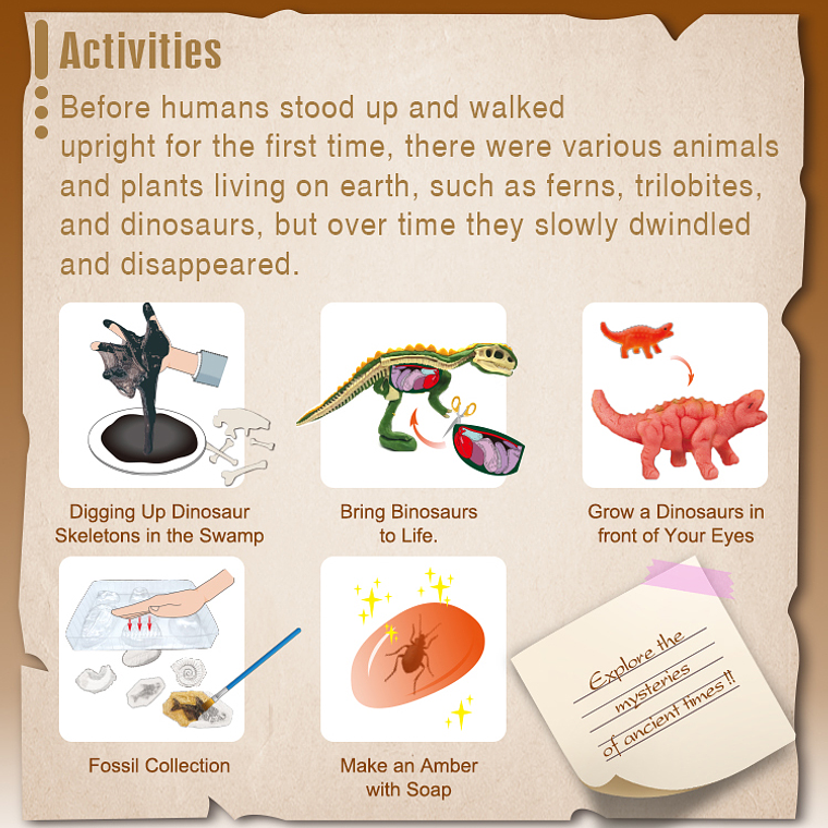 Juego de Ciencias STEAM - Explorando la Vida Prehistórica 3