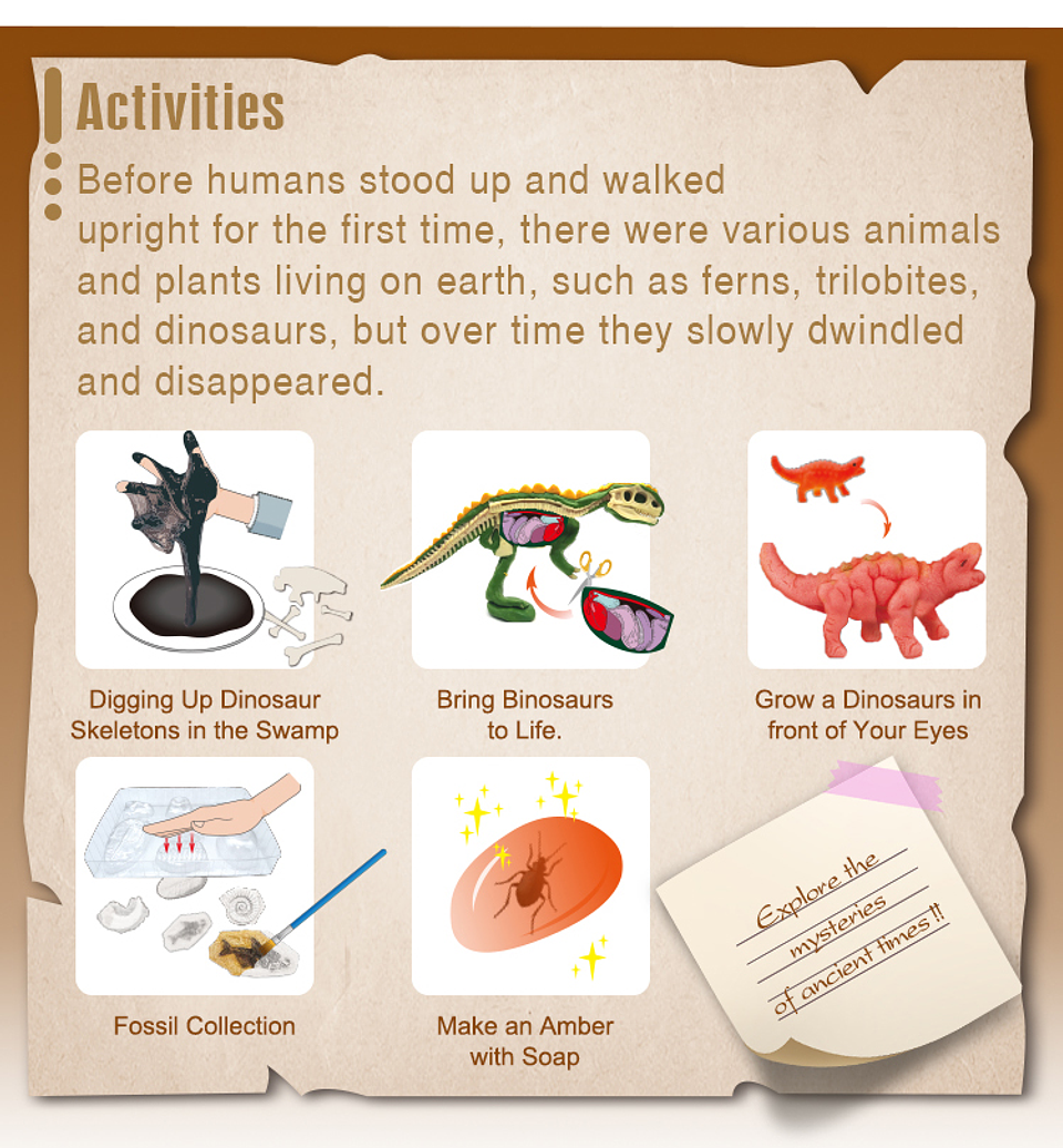 Juego de Ciencias STEAM - Explorando la Vida Prehistórica 3