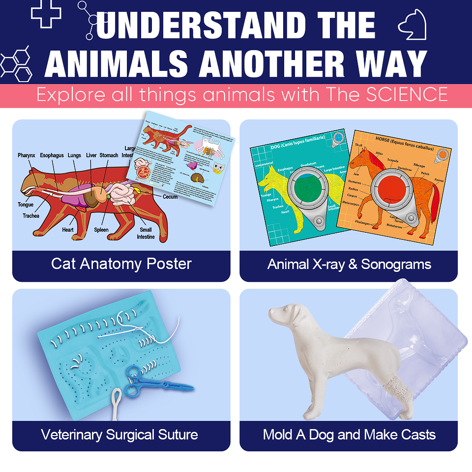 Kit de Ciencias Veterinarias 3