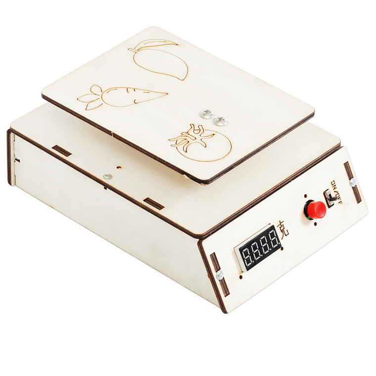 Hazlo tu Mismo - Balanza Electrónica Digital 3