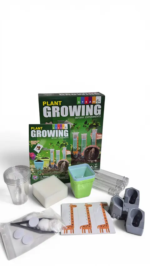 Juego Científico STEM - Crecimiento de las Plantas