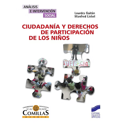 Ciudadanía y derechos de participación de los niños. Libro formato eBook