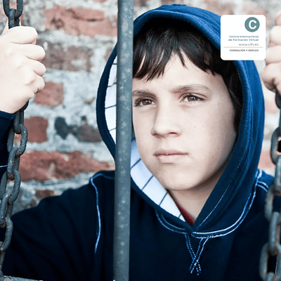 Curso Online Delincuencia Juvenil y Medidas de Protección del Menor (90 horas)