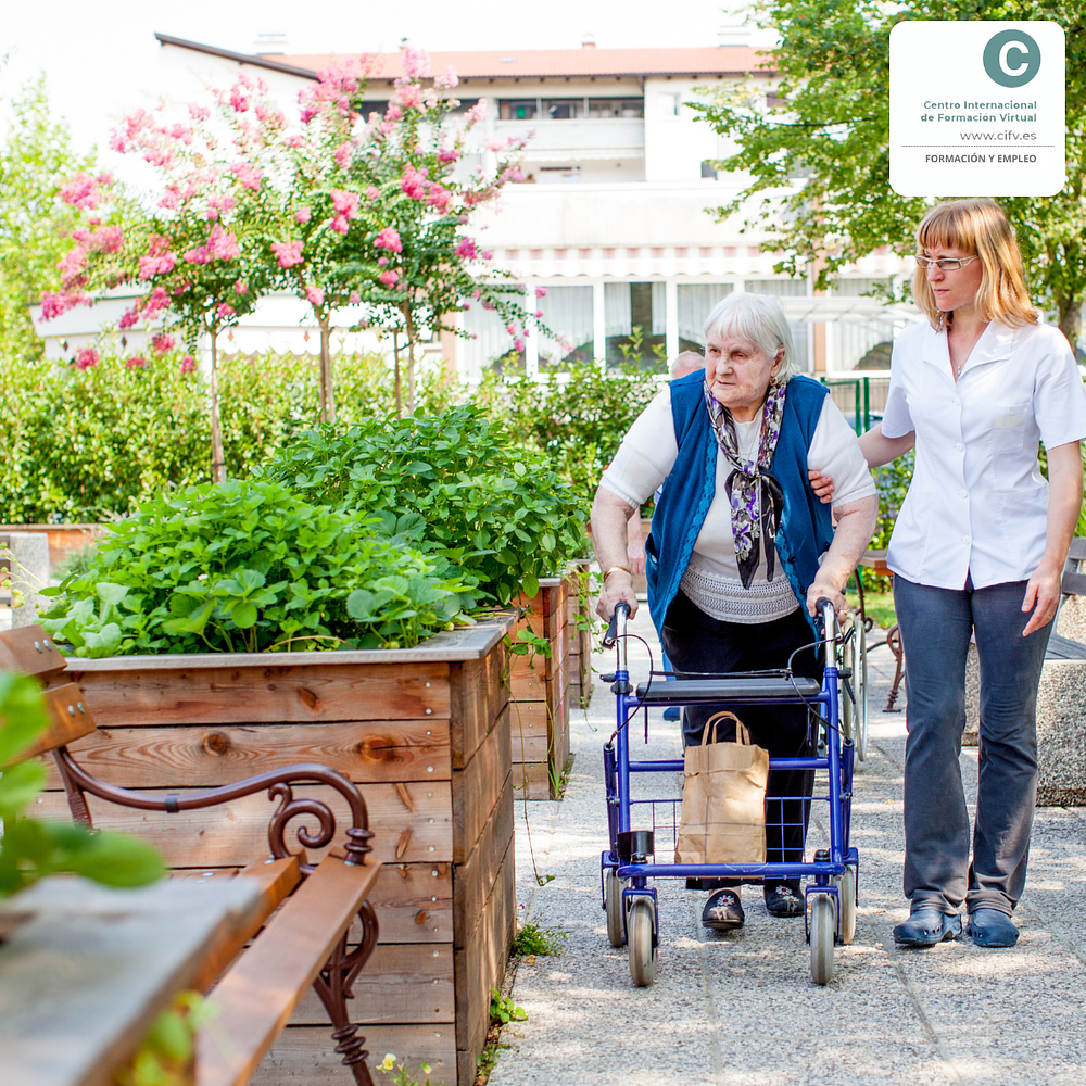Curso de Especialización Profesional: Apoyo en la Organización de Intervenciones en el Ámbito Institucional | 100 horas (100% online)