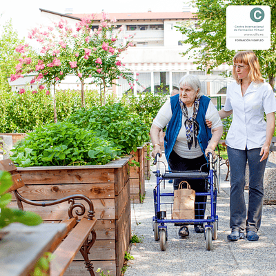 Curso de Especialización Profesional: Apoyo en la Organización de Intervenciones en el Ámbito Institucional | 100 horas (100% online)