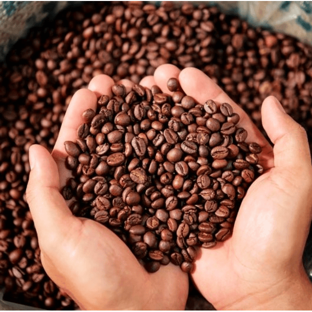 Café en Grano 1 kg CIMA COFFEE
