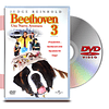 PACK DVD BEETHOVEN 1 AL 4