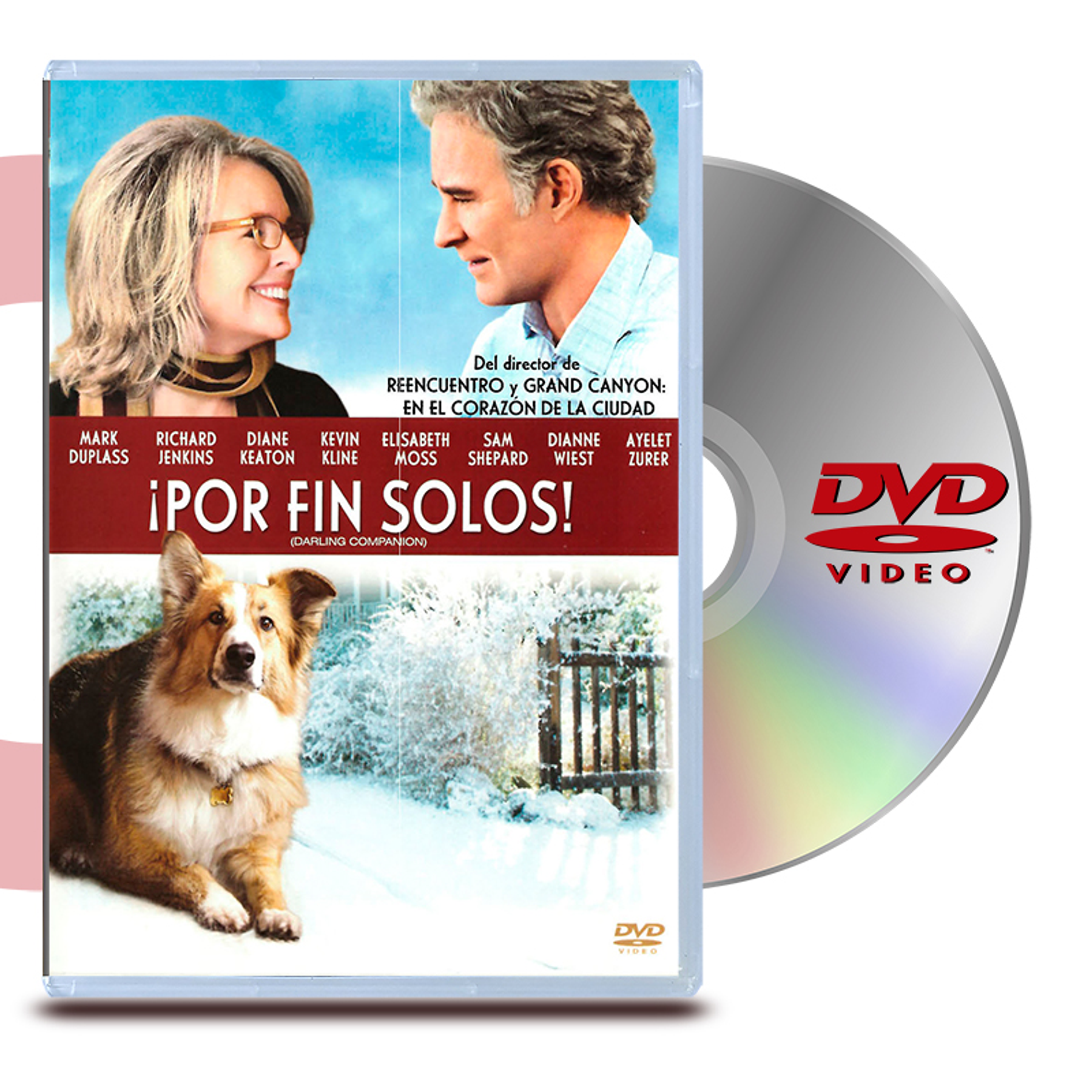 DVD Por Fin Solos