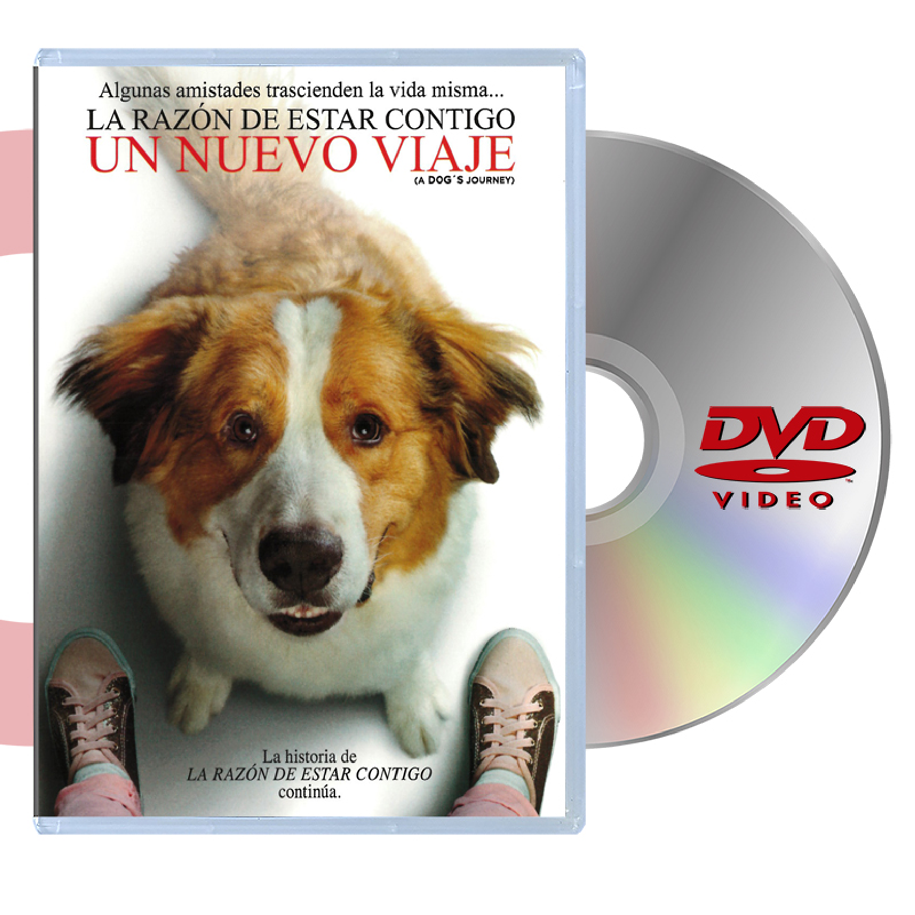 DVD LA RAZON DE ESTAR CONTIGO