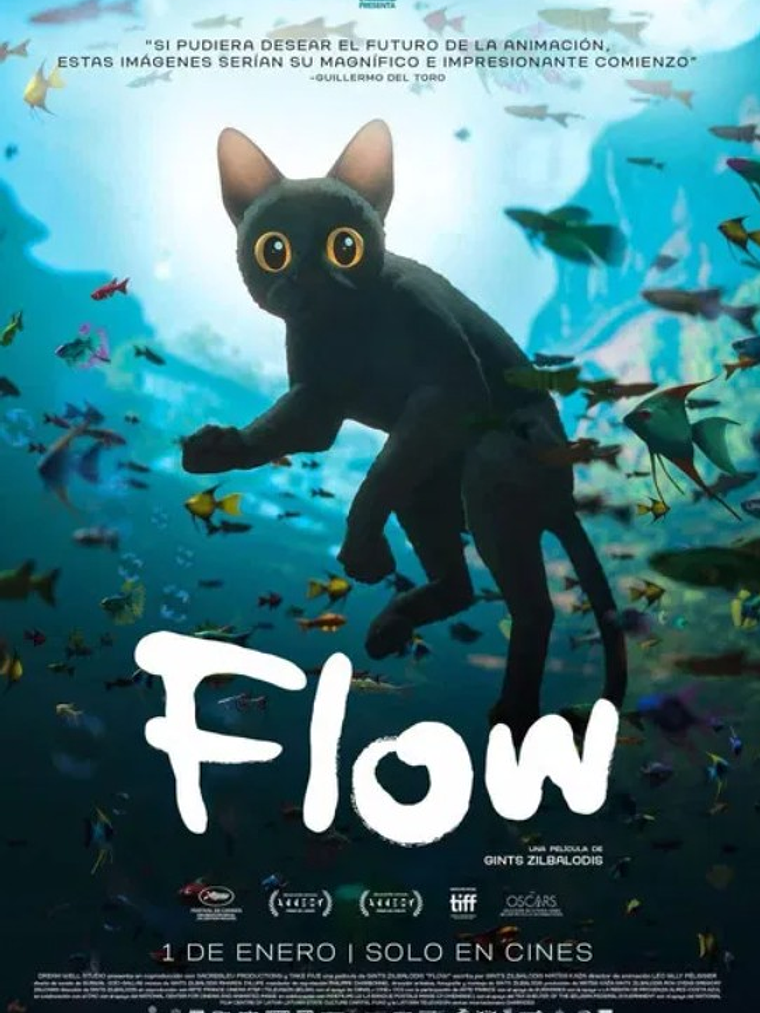 FLOW (2024) 1