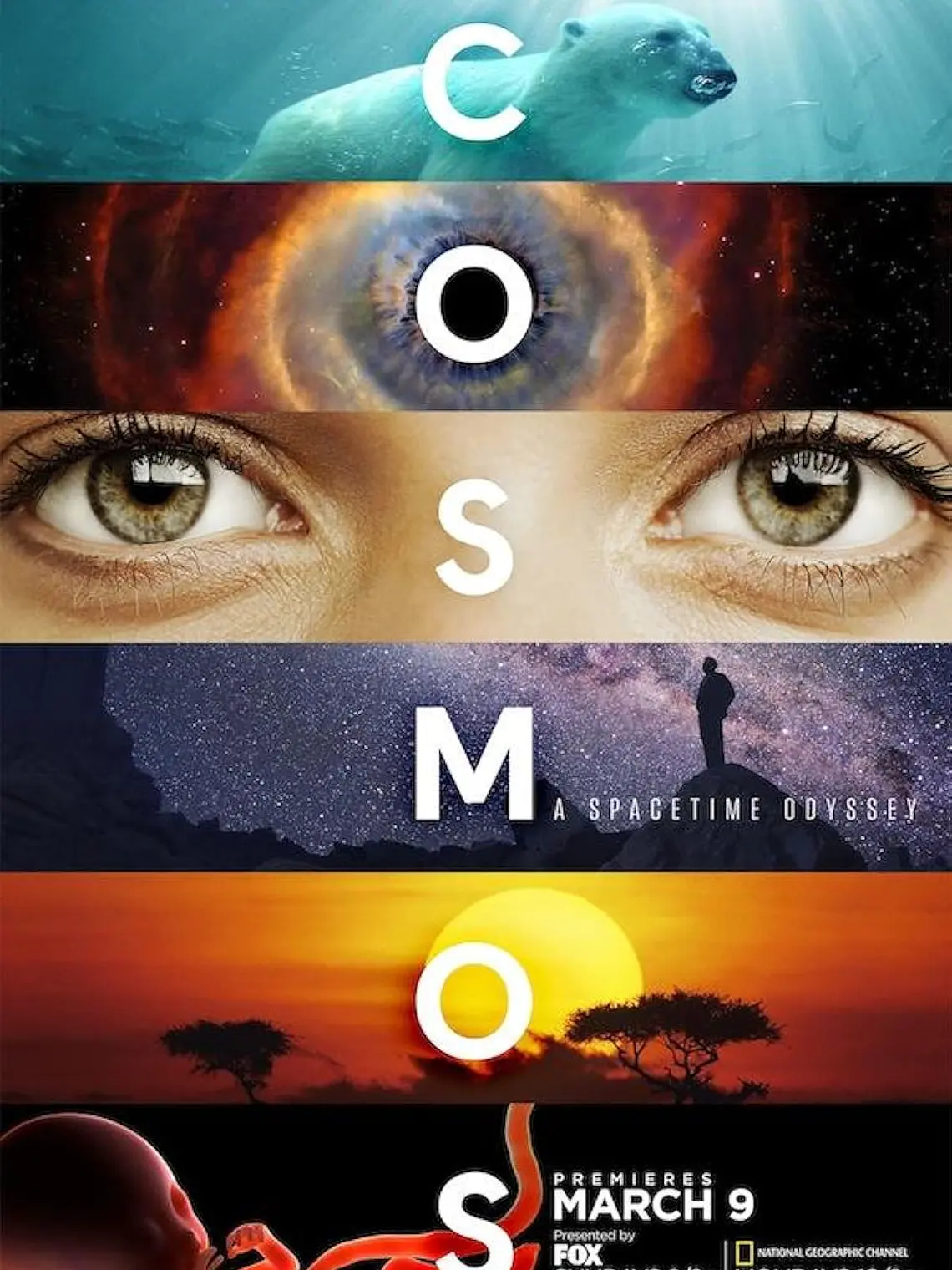 COSMOS: UNA ODISEA EN EL ESPACIO-TIEMPO (2014) 1