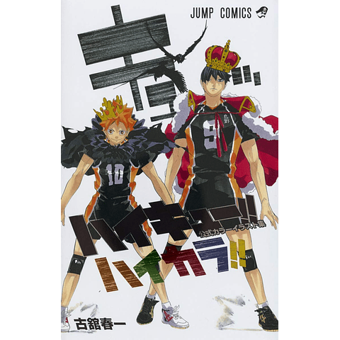 (A PEDIDO) Haikyuu!! Official Color Illustration Collection