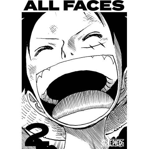 (PEDIDO) ONE PIECE ALL FACES 2