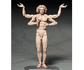(PEDIDO) figma Vitruvian Man - Table Museum