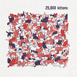 (A PEDIDO) 25,000 Kittens [Analog]