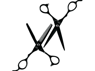 Set de Tijeras Circlev Mano Izquierda