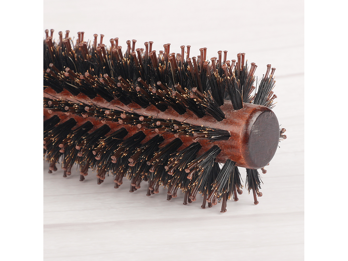 Cepillo tipo Rodillo 5