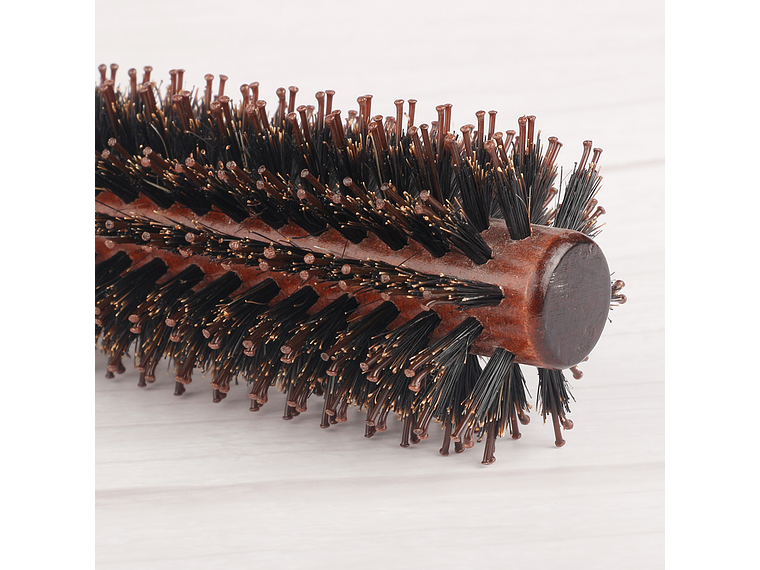 Cepillo tipo Rodillo 5