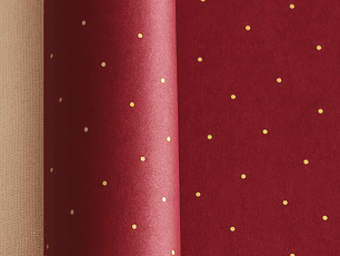 Packing Especial CIRCLEV