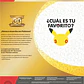 POKÉMON TCG 30TH CELEBRATION BINDER COLLECTION ESPAÑOL - Miniatura 4