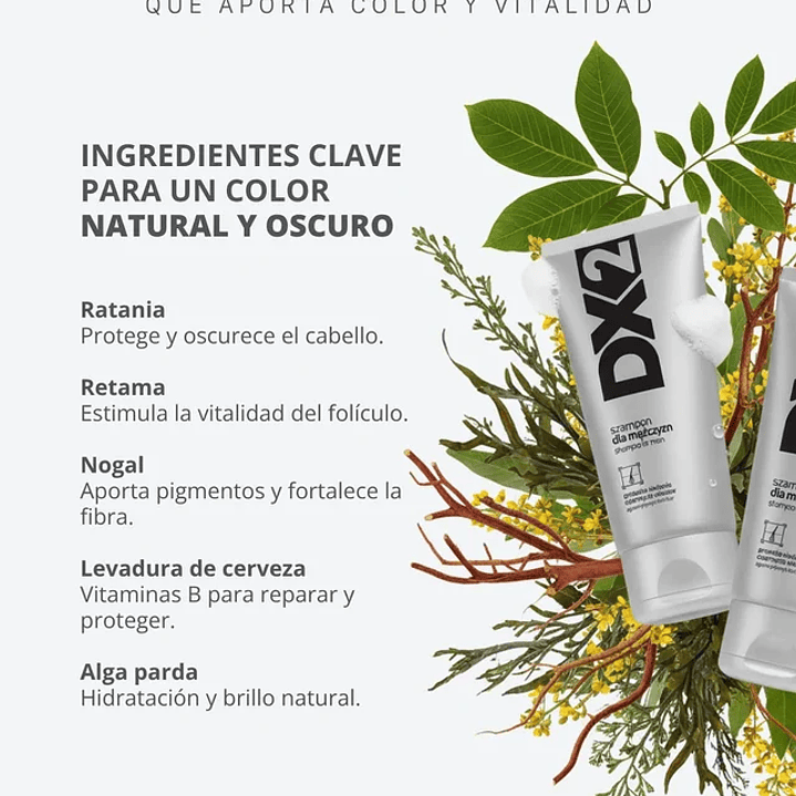 DX2 Shampoo Anti-Canas para Hombres – Rejuvenece tu Cabello de Forma Natural 4