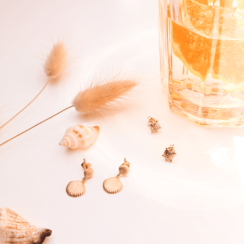 Brincos conchas 